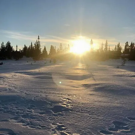 Modern Family At Sjusjoen
