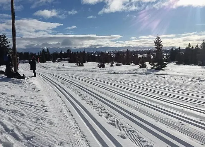 Modern Family At * Sjusjoen