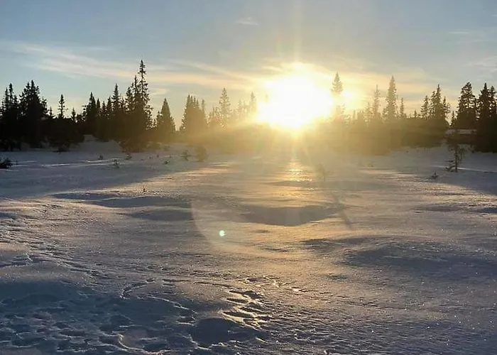 Modern Family At Sjusjoen