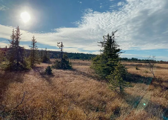 Modern Family At Sjusjoen